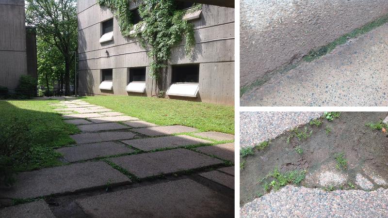photos: walkways behind LSC
