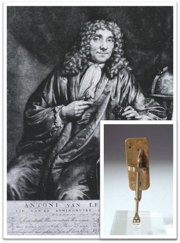 graphic: portrait of Van Leeuwenhoek and inset photo of one of his microscopes