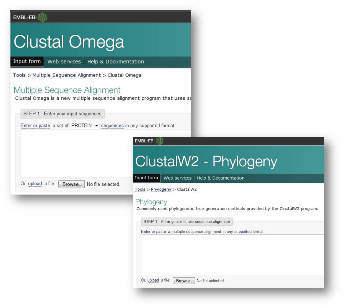 photo: screencaps of Clustal Omega and Clustal W2 main pages